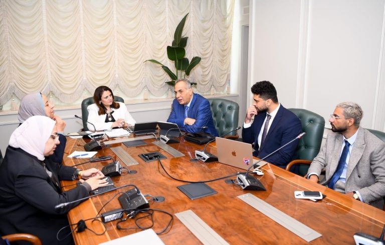 من السفر إلى تسجيل العقارات.. «تطبيق المصريين بالخارج» يغطي كل شيء باستثناء الخدمات القنصلية