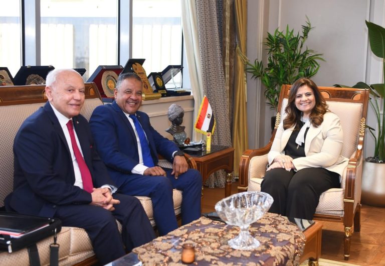 الحكومة تبحث استقدام الأطباء المصريين بالخارج للاستفادة من خبراتهم في تقديم الخدمات الطبية