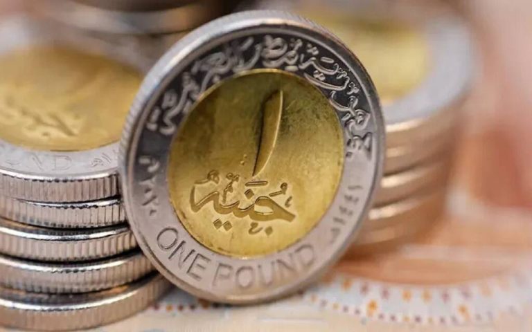 خبير مصرفي يكشف تفاصيل طرح الجنيه الإلكتروني بديل الورقي (فيديو)