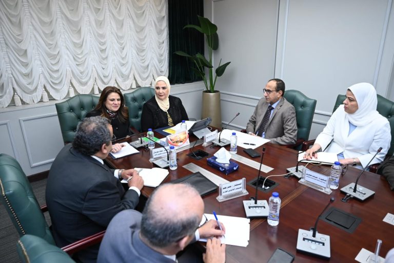 «الهجرة» تبحث مستجدات ملف صندوق حماية وتأمين المصريين في الخارج.. ما خدماته؟
