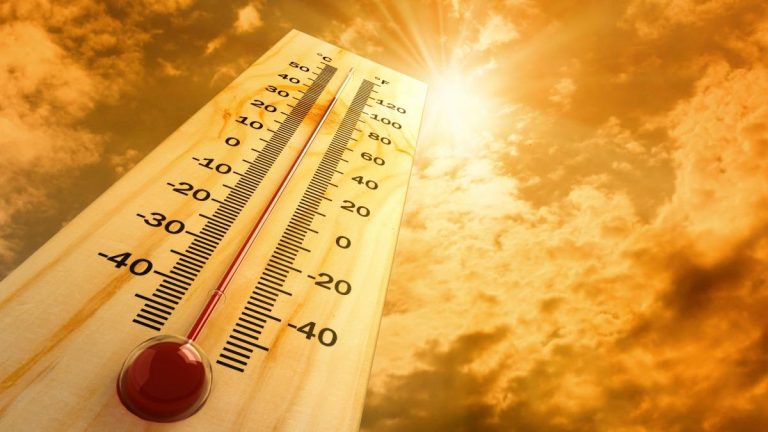 خسائر مادية وبشرية.. أمريكا تشتعل وتحركات عاجلة لمواجهة موجات الحر الشديدة