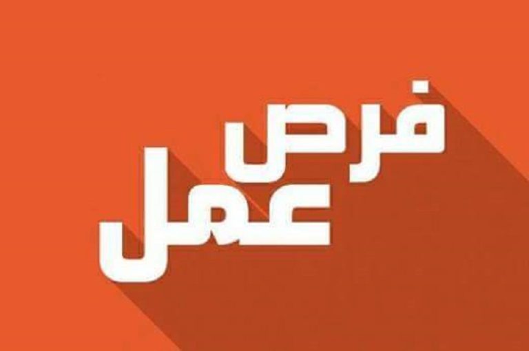 قطر تعلن عن فرص عمل للمدرسين.. تعرّف على الشروط وآلية التقديم