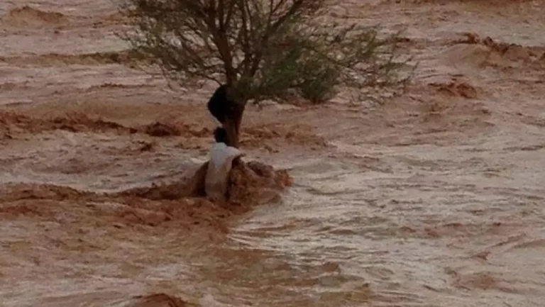 شاهد.. السيول تجرف سيارة بداخلها شخص في منطقة جازان بالسعودية!