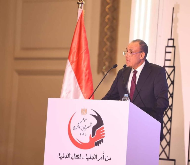 وزير الخارجية للمصريين بالخارج: الدولة ستتكفل بإجراءات شحن الجثامين للمتعثرين