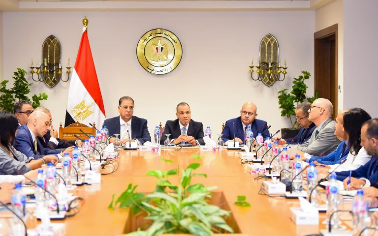 وزير الخارجية يوجه بتطوير الخدمات القنصلية المقدمة للمصريين بالخارج