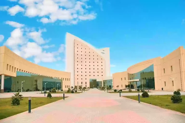وظائف بجامعة نجران لحملة الدكتوراه والماجستير.. تعرّف على الشروط والأوراق المطلوبة