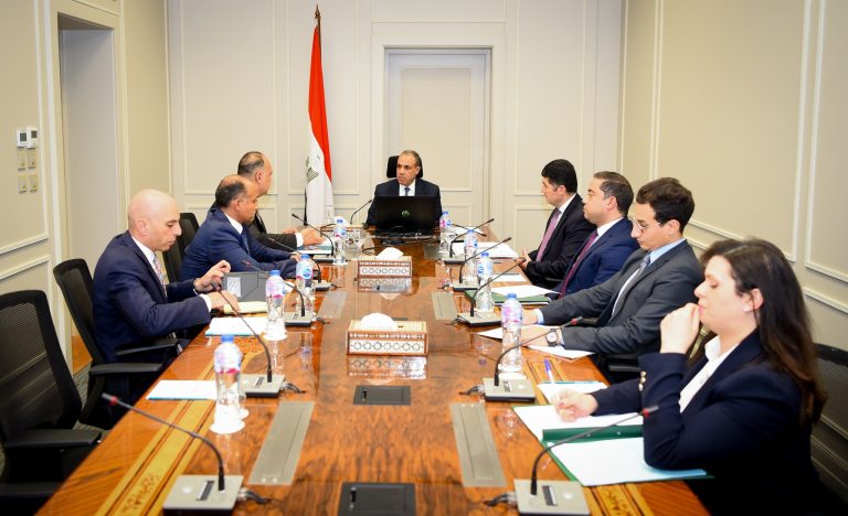 «الخارجية» تستعد لتنفيذ خطة شاملة لرقمنة الخدمات القنصلية للتسهيل على المصريين بالخارج