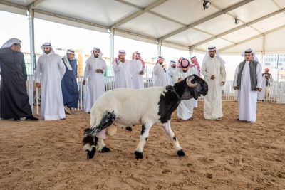 مهرجان حلال قطر