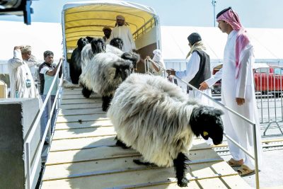 مهرجان حلال قطر