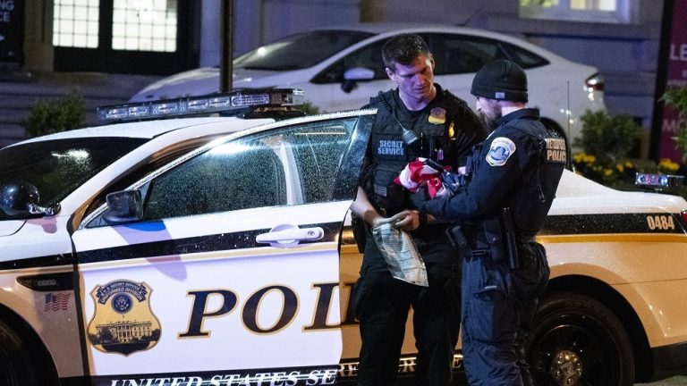 شاحنة تدهس حشدًا من المحتفلين برأس السنة فى أمريكا والشرطة تعلن تفاصيل صادمة