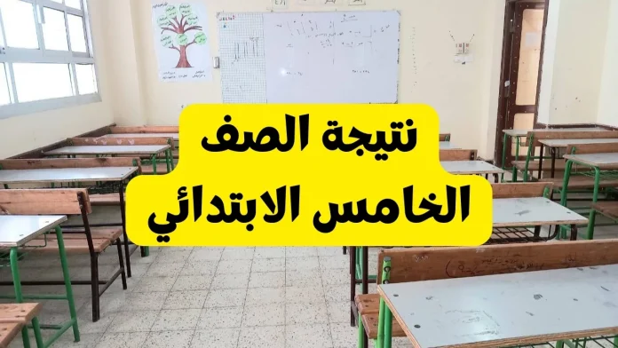 خامسة ابتدائي.. رابط نتيجة الصف الخامس الابتدائي الترم الأول 2025 برقم الجلوس لجميع المحافظات خامسة ابتدائي.. رابط نتيجة الصف الخامس الابتدائي الترم الأول 2025 برقم الجلوس لجميع المحافظات