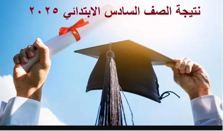 برقم الجلوس.. خطوات الاستعلام عن نتيجة الصف السادس الابتدائي 2025 الجيزة الترم الثاني