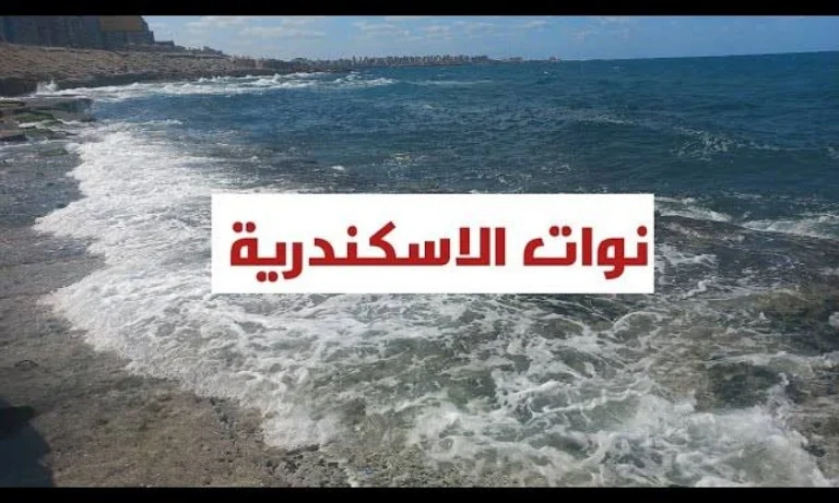 جدول مواعيد النوات المتبقية في شتاء 2025 بالإسكندرية والطقس المصاحب لها.. نوة الشمس الصغيرة أولها