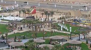 مدينة محمد بن زايد
