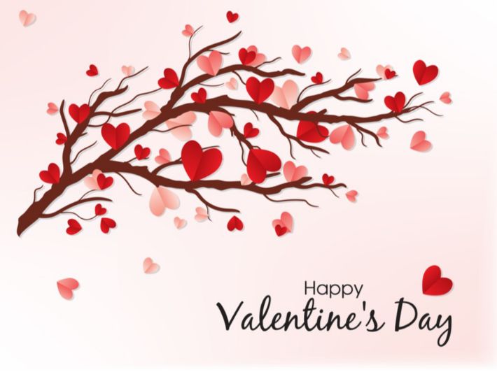 بالعربي والإنجليزي.. أجمل عبارات تهنئة عيد الحب 2025 Valentine's Day وأفضل الأفكار للاحتفال به