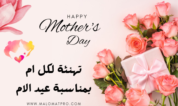 أجمل عبارات تهنئة عيد الأم 2025.. كلمات نابعة من القلب مؤثرة وبالعامية المصرية وأدعية للأمهات المتوفيات