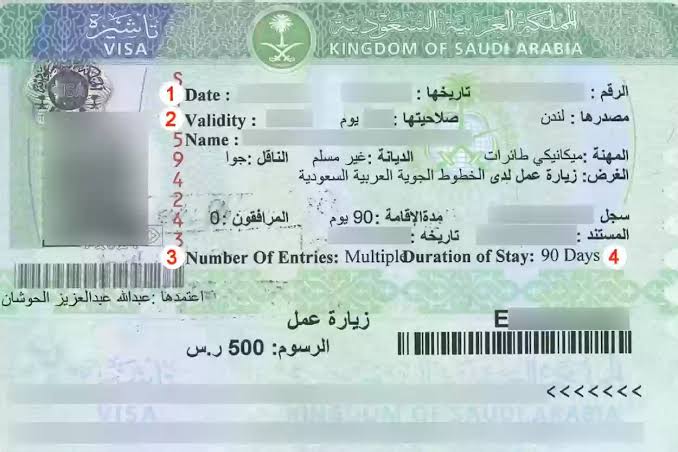 في 30 ثانية.. طريقة الاستعلام عن تأشيرة السعودية برقم الجواز 2025 إلكترونيًا عبر منصتي إنجاز وأبشر