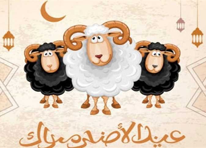 أجمل رسائل تهنئة عيد الأضحى المبارك 2025 الرسمية.. عبارات راقية تناسب مختلف المناسبات