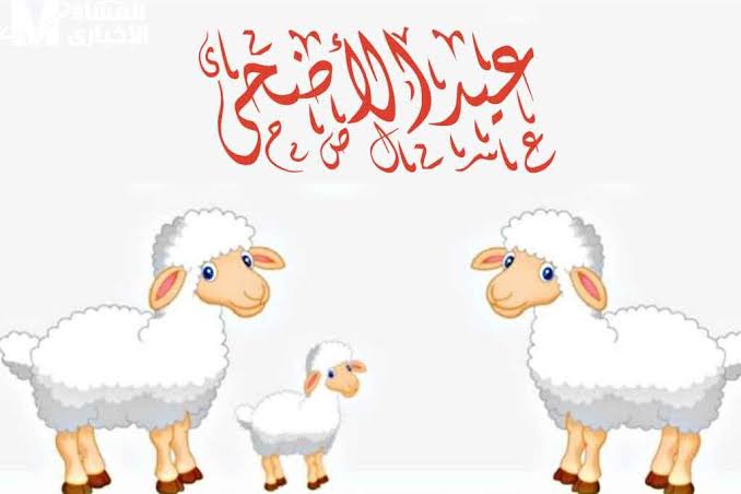 أجمل رسائل تهنئة عيد الأضحى 2025.. عبارات معايدة راقية للأهل والأصدقاء بمناسبة العيد الأضحى 1446 