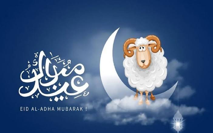 عبارات تهنئة عيد الأضحى المبارك 2025 للأهل والأصدقاء والأحباب.. أجمل الكلمات والرسائل للعيد الكبير 