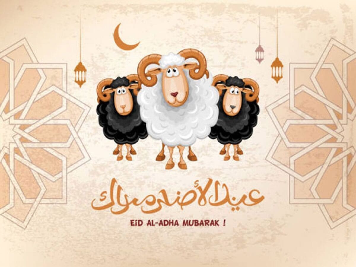 رسائل مهنية راقية.. أجمل عبارات تهنئة عيد الأضحى 2025 الرسمية لأصحاب الشركات وزملاء العمل والعملاء