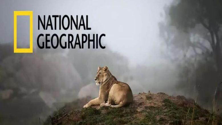 خطوات ضبط تردد قناة ناشيونال جيوغرافيك أبو ظبي 2025 الجديد National Geographic Abu Dhabi على الرسيفر