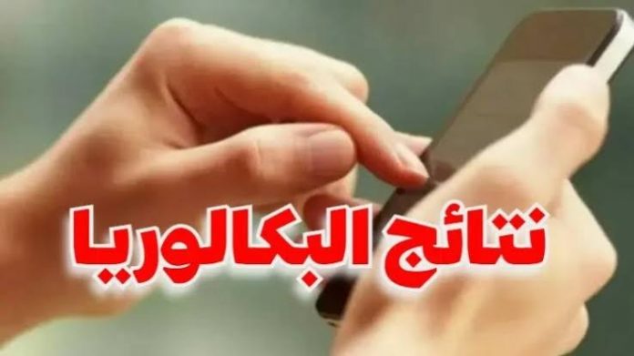 رابط نتائج البكالوريا 2025 في سوريا عبر موقع وزارة التربية الرسمي برقم الاكتتاب والاسم الثلاثي في جميع المحافظات